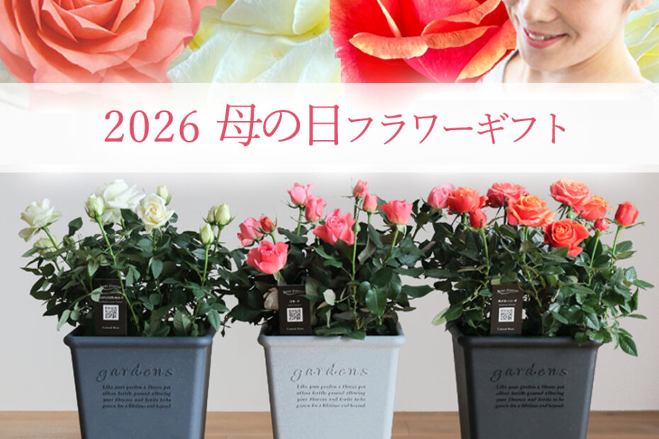 鉢 植木鉢 プランター グラスファイバー ガーデニング ゴブレット ローズ バラ バラ鉢 12号 | リッチェル公式ウェブショップ